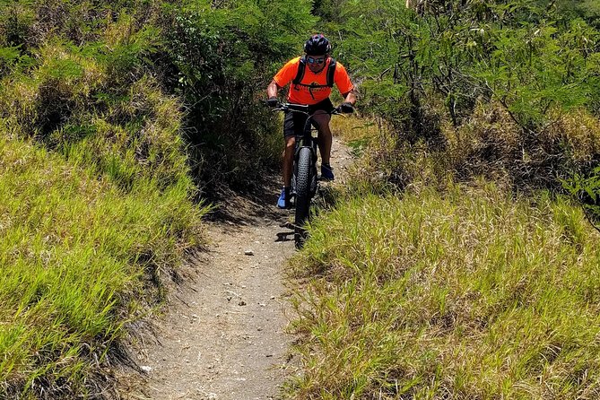 Electric Bike Bajan Sightseeing Experience (Transport Included) - The rum punch finish