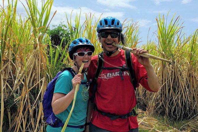 Electric Bike Bajan Sightseeing Experience (Transport Included) - Who will enjoy this ride most