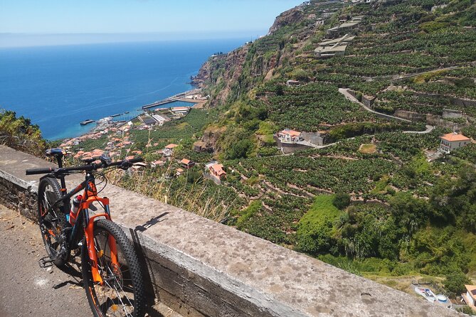 Electric Bike Tour in Northern Madeira - Who will enjoy this ride most?