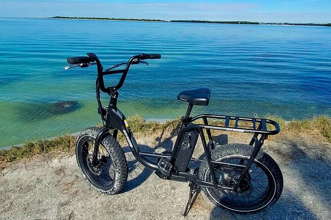 Electric Bike Wildlife & History Tour along Fort De Soto's Beaches - Guide quality and the small-group advantage