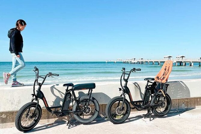 Electric Bike Wildlife & History Tour along Fort De Soto's Beaches - What the $75 price includes