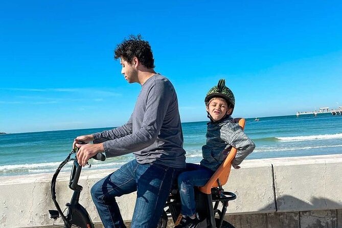 Electric Bike Wildlife & History Tour along Fort De Soto's Beaches - Timing, weather, and cancellation details