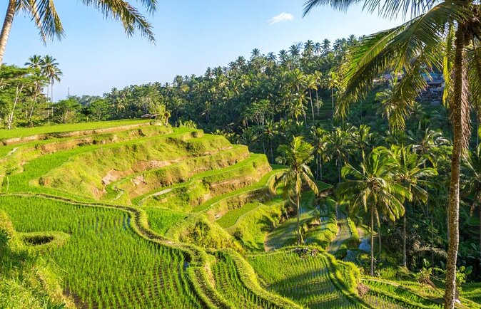 Electric Cycling Tour of Ubud with Free Hotel Transfer and Lunch - Why an e-bike is the right tool for Ubud’s hills