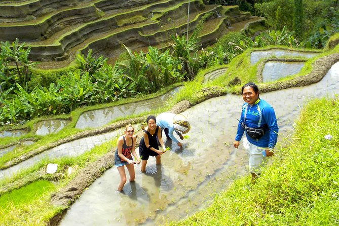 Electric Cycling Tour of Ubud with Free Hotel Transfer and Lunch - The jungle swing and plantation stop