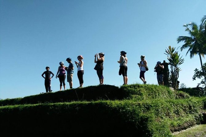 Electric Cycling Tour of Ubud with Free Hotel Transfer and Lunch - Morning lunch or afternoon dinner