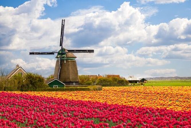 Escape Amsterdam: E-Bike to Zaanse Schans Windmills & Zaandam - What makes this ride worth your time