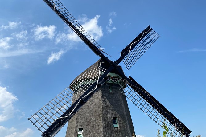 Escape Amsterdam: E-Bike to Zaanse Schans Windmills & Zaandam - Zaanse Schans is the main event