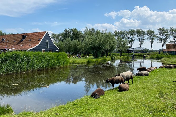Escape Amsterdam: E-Bike to Zaanse Schans Windmills & Zaandam - Krijtmolen d’Admiraal and the working-mill stop