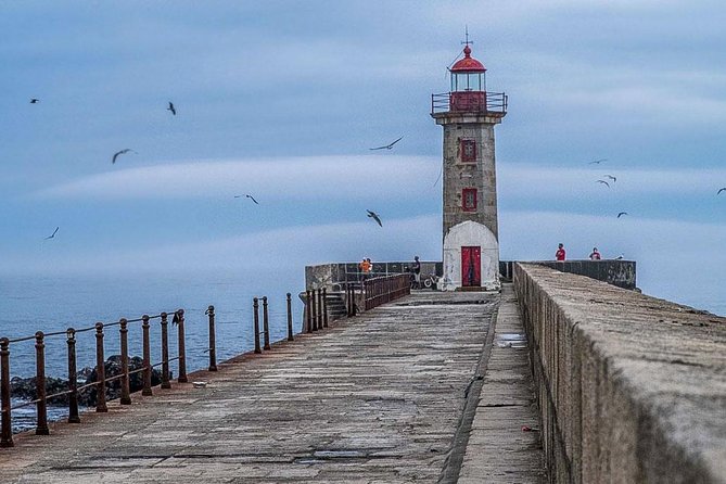 Experience Porto by Bike: 3-Hour Private Tour - Price, timing, and practical value