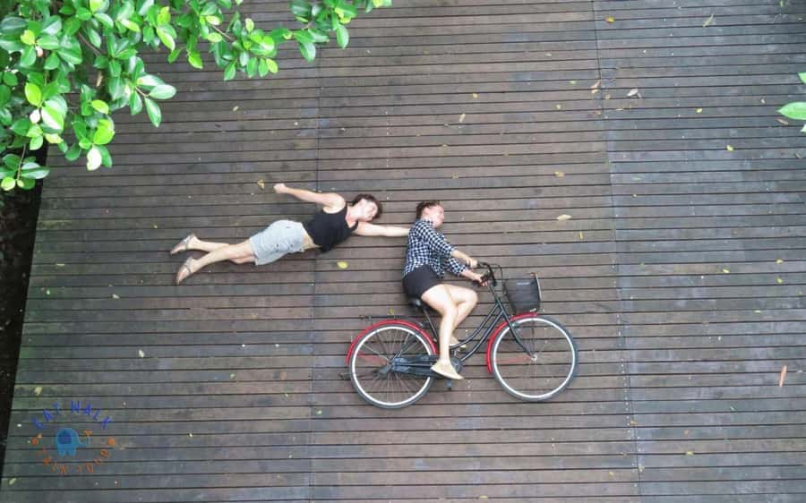 Explore Bangkok jungle by bike, kayak & boat - small group - Should you book the Bang Krachao bike and kayak trip?