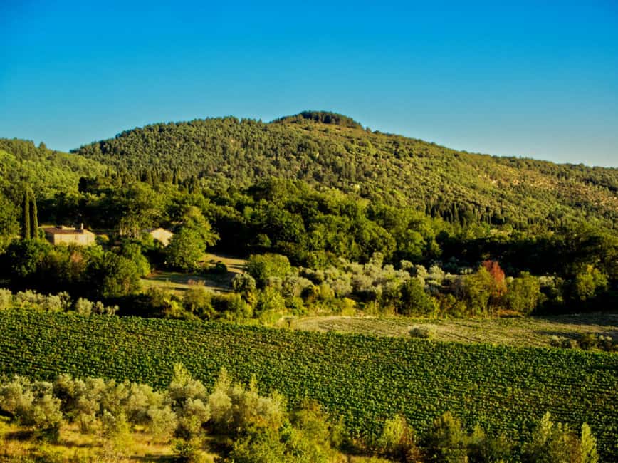 Fiesole E-Bike Tour with Olive Oil Tasting or Pool & Chill - Morning choice: olive oil with a lesson