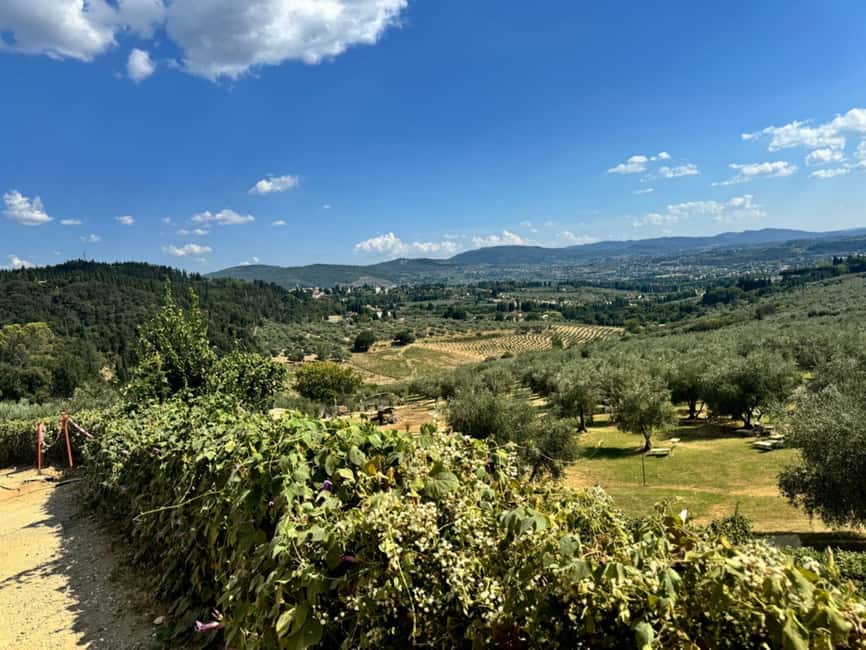 Fiesole E-Bike Tour with Olive Oil Tasting or Pool & Chill - Who should book this ride?