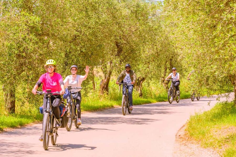 Florence: Chianti E-Bike Tour with Lunch & Two Wine Tastings - The winery stop and Chianti Classico
