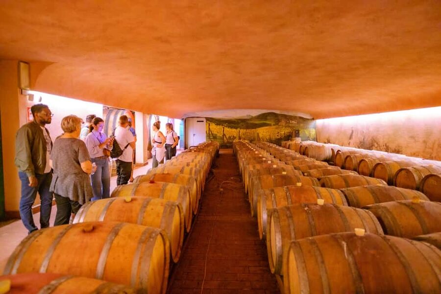 Florence: Chianti E-Bike Tour with Lunch & Two Wine Tastings - What the $116 price really buys