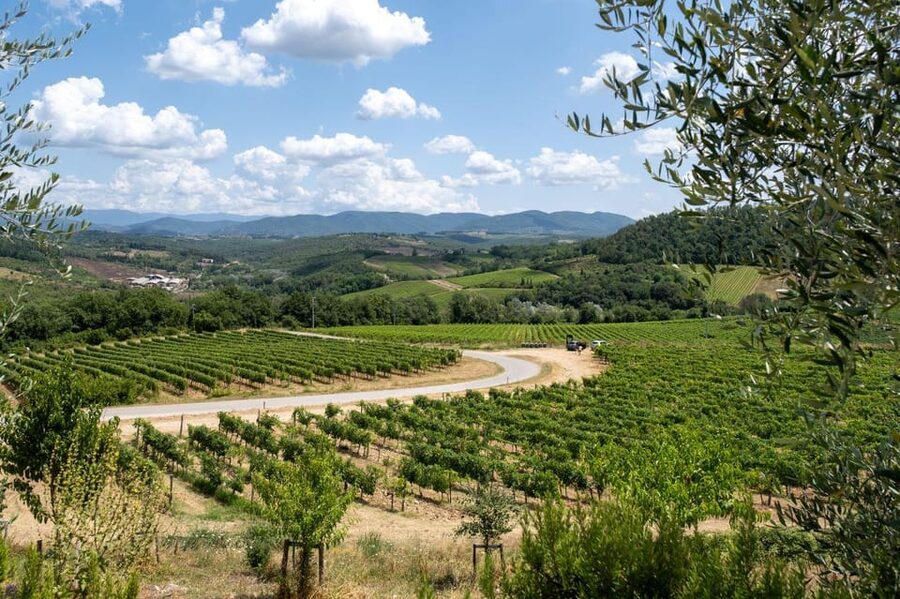 Florence: Chianti E-Bike Tour with Wine Tasting and Lunch - Guides, group size, and the human side