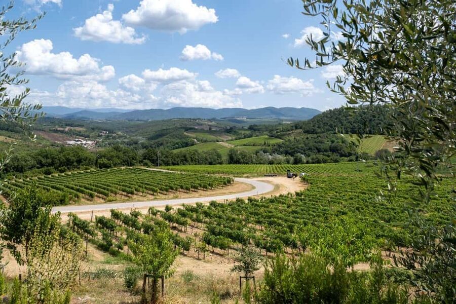 Florence: Chianti E-Bike Tour with Wine Tasting and Lunch - What to bring for a smoother day
