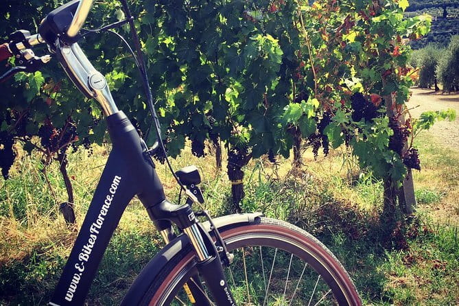 Florence Hills E-Bike Tour with Gelato Tasting - Is $68.96 a fair price?