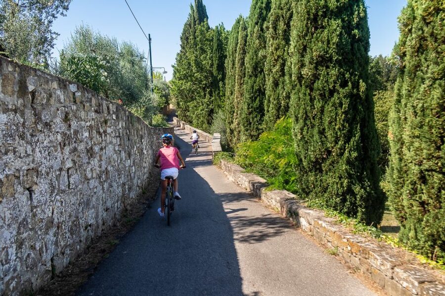 Florence: Tuscany Bike Tour with Wine & Olive Oil - Key points to know