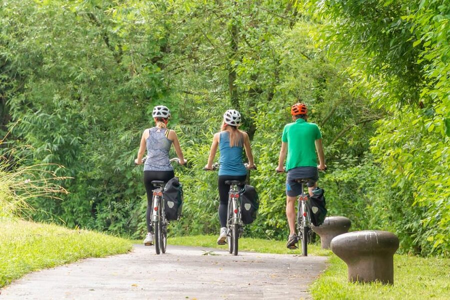 Frankfurt: Full-Day Bicycle or E-Bike Rental - Starting at Martin May Str. 7