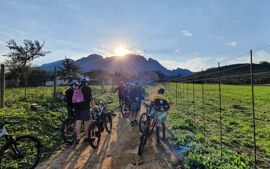 Franschhoek: E-bike Tour with Wine Tasting and Lunch - Guide support and group size