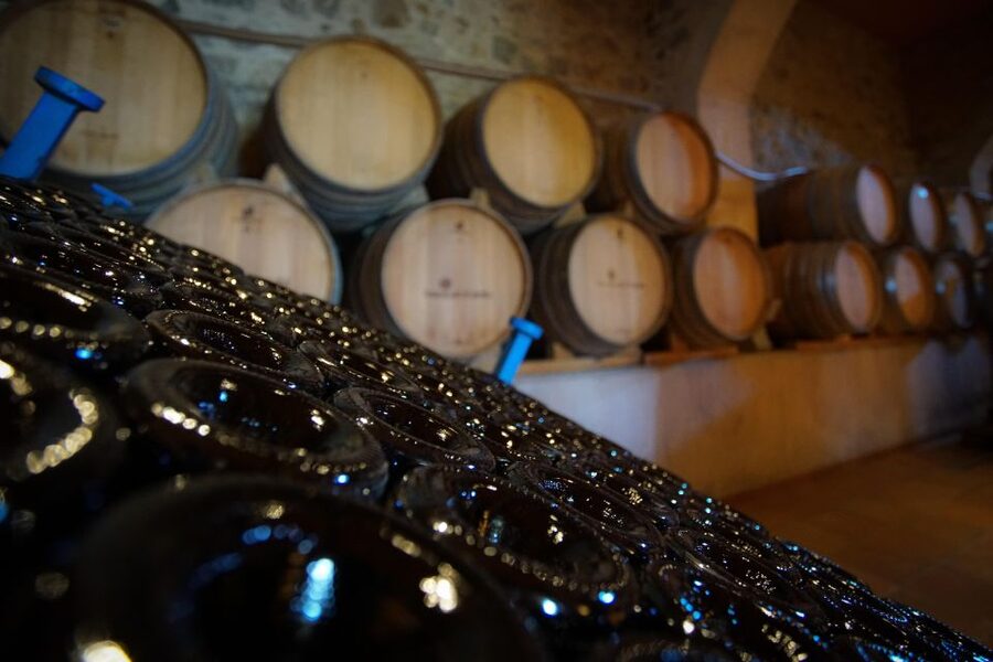 From Barcelona: E-Bike and Sailing Tour with Wine Tastings - Who should choose the car option