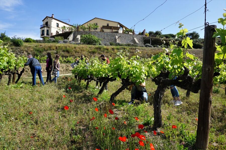 From Barcelona: E-Bike and Sailing Tour with Wine Tastings - Riding from Barcelona toward Alella