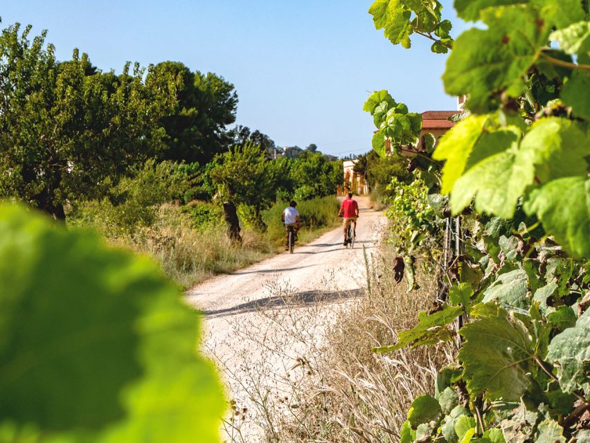 From Barcelona: Penedès E-Bike Tour with 2 Winery Visits - Key points to know before booking