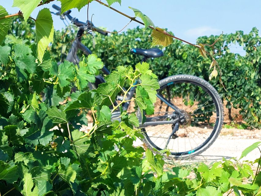 From Barcelona: Penedès E-Bike Tour with 2 Winery Visits - Choosing between the Scott bike and the e-bike