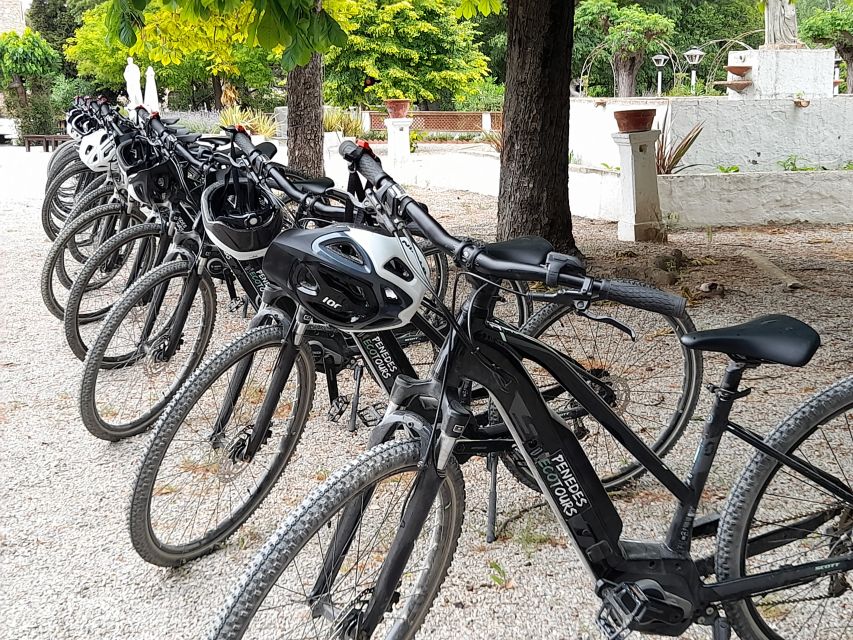 From Barcelona: Penedès E-Bike Tour with 2 Winery Visits - Riding beneath Montserrat