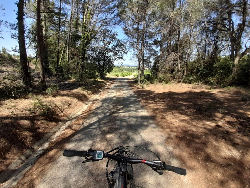 From Barcelona: Penedès E-Bike Tour with 2 Winery Visits - Second winery: cellar details, four tastings, and snacks
