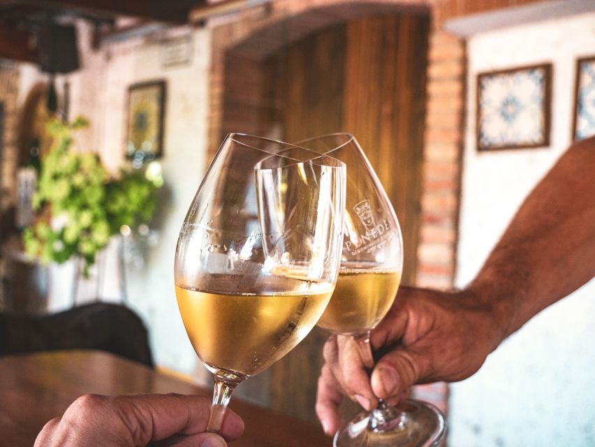 From Barcelona: Penedès E-Bike Tour with 2 Winery Visits - Returning to Vilafranca and Barcelona