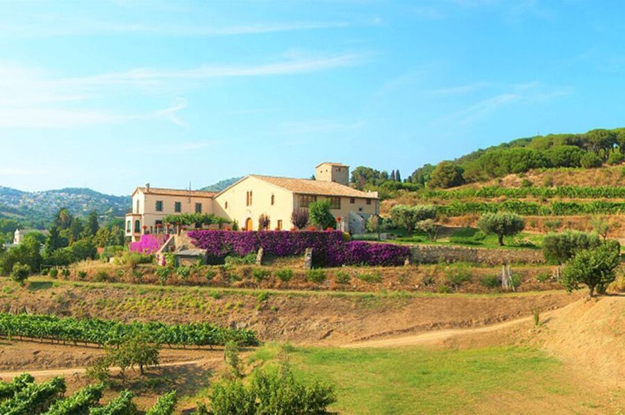 From Barcelona: Private Alella Wine Tour by Electric Bike - Key points to know before booking