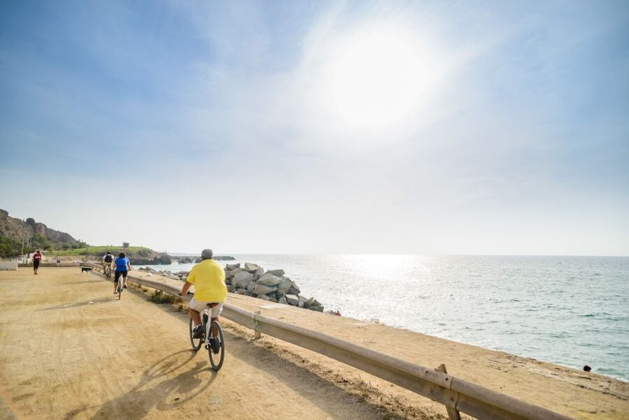 From Barcelona: Private Alella Wine Tour by Electric Bike - From the Gothic Quarter to the Mediterranean