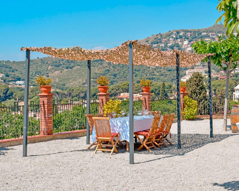 From Barcelona: Private Alella Wine Tour by Electric Bike - A family winery with a personal feel