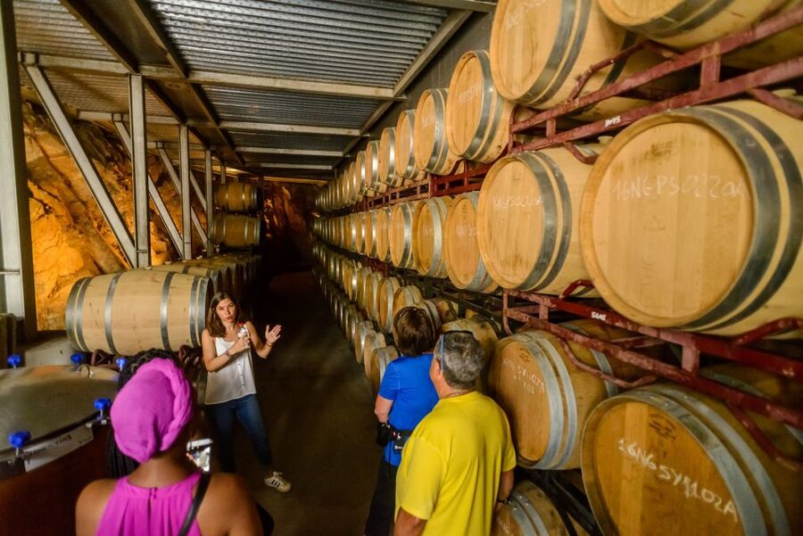 From Barcelona: Private Alella Wine Tour by Electric Bike - Private does not mean completely flexible