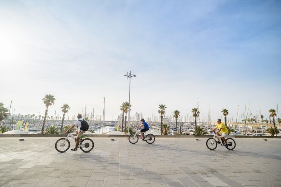 From Barcelona: Private Alella Wine Tour by Electric Bike - Is $294 a fair price?