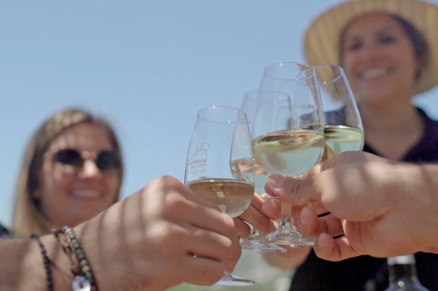 From Barcelona: Private Alella Wine Tour by Electric Bike - Who should book this Alella day trip?