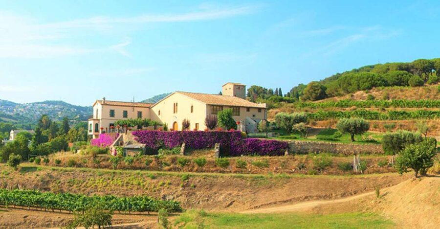 From Barcelona: Private Alella Wine Tour by Electric Bike - Riding into Alella’s vineyards