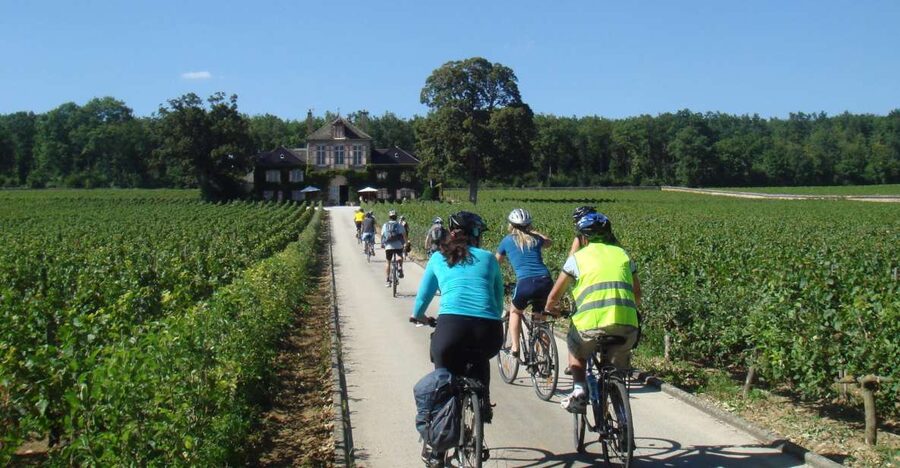 From Beaune: Full-Day Bicycle and Wine Tour in Burgundy - Saint-Aubin and the first taste of Burgundy