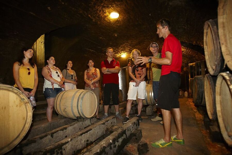 From Beaune: Full-Day Bicycle and Wine Tour in Burgundy - La Rochepot and a castle with real character