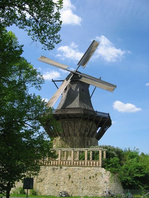From Berlin: Gardens & Palaces of Potsdam Bike Tour - Key points to know before booking