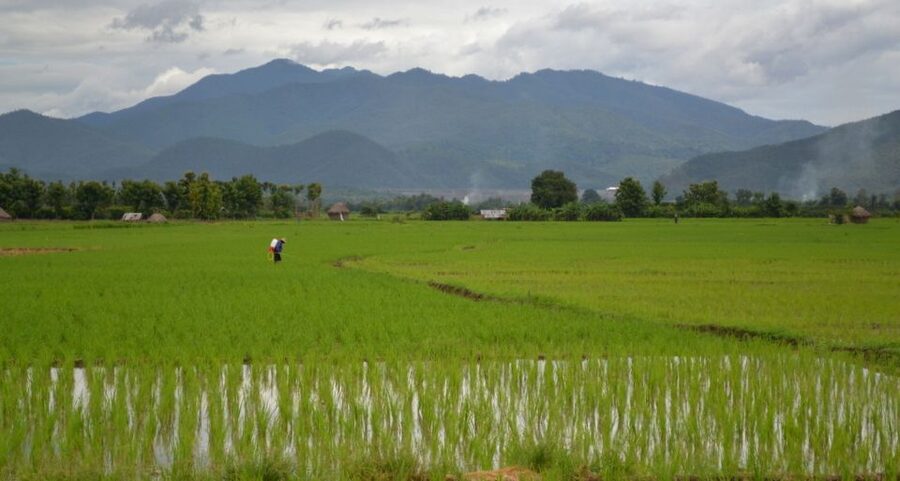 From Chiang Mai: Mae Taeng Valley and Waterfalls Cycle Tour - What the $73 price really covers