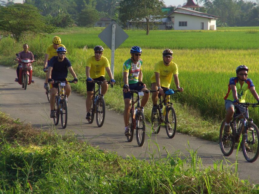 From Chiang Mai: Mae Taeng Valley and Waterfalls Cycle Tour - Who will enjoy this Mae Taeng day
