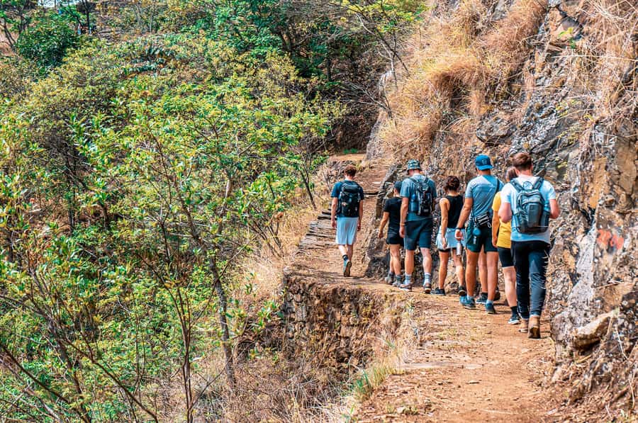 From Cusco: 4-Day Inca Jungle Adventure to Machu Picchu - Day 4: The early bus and Machu Picchu