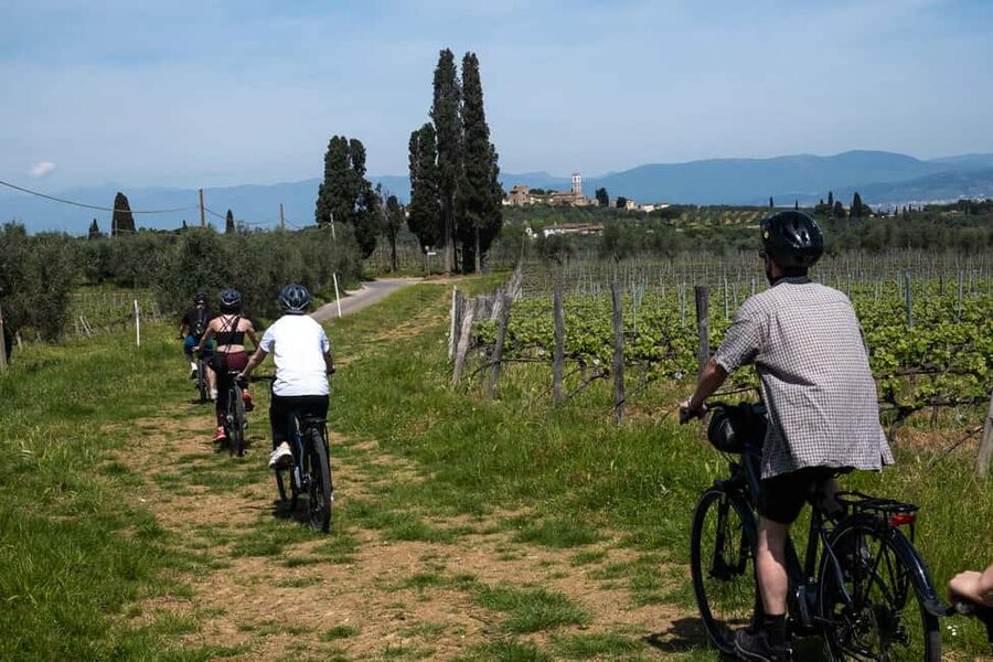 From Florence: Tuscan Hills Biking with Farm Tour and Lunch - Two hours through olive groves and vineyard roads