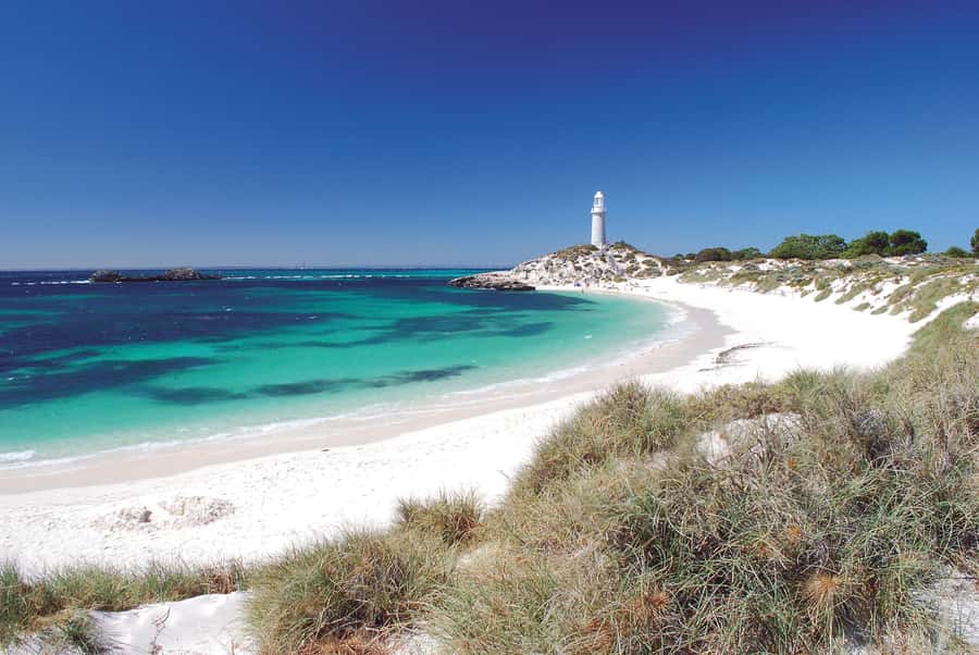 From Fremantle: Rottnest Island Ferry and Bike Day Tour - Quokkas, beaches, and the best use of your stops