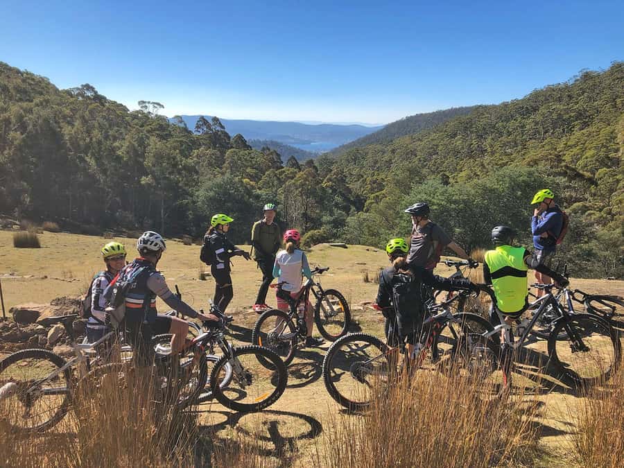 From Hobart: Mt Wellington Summit & Rainforest Bike Tour - From open mountain road into rainforest