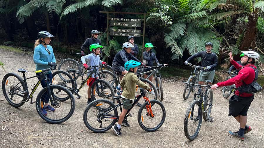 From Hobart: Mt Wellington Summit & Rainforest Bike Tour - How difficult is the 17-kilometre ride?