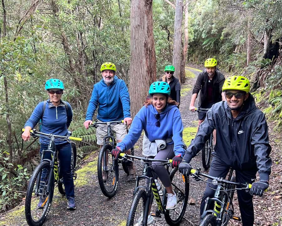 From Hobart: Mt Wellington Summit & Rainforest Bike Tour - Is $119 good value?