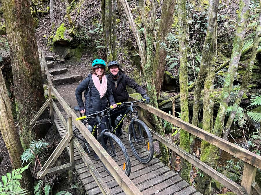From Hobart: Mt Wellington Summit & Rainforest Bike Tour - Who should book this ride?